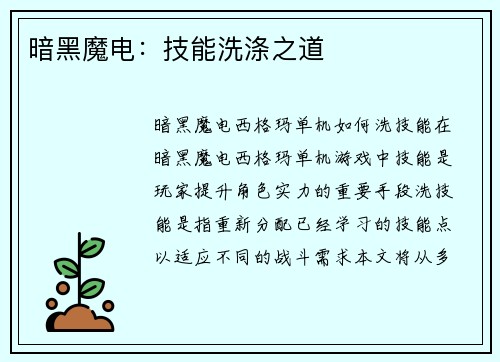 暗黑魔电：技能洗涤之道
